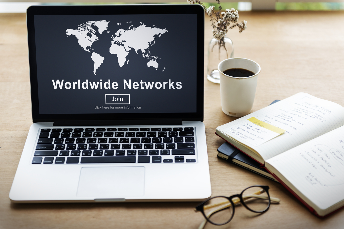 Honest Opinions from Marketers Using SEO.Domains for SEO Projects